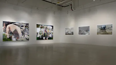 20090223 Alex Fischer Backwater Resolution The Gales Gallery 03 The Syncretist +Fair Diplopia +Jeff Wall Dug me a Mountain +South West Esteem +Well watch Twin Peaks documentation.jpg